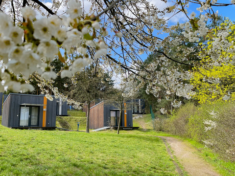 Campinghütten im Frühling, Foto: Celin Felsch